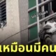 แมวนั่งไขว่ห้างริมหน้าต่าง เท่