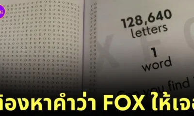 หนังสือปริศนาหาคำศัพท์ FOX จาก 200 หน้า