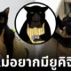 แมวคอสเพลย์เป็นยูคิจิ น่ารัก