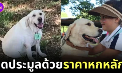 Hilma Labrador thailand