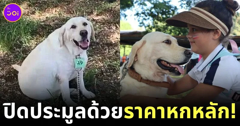 Hilma Labrador thailand