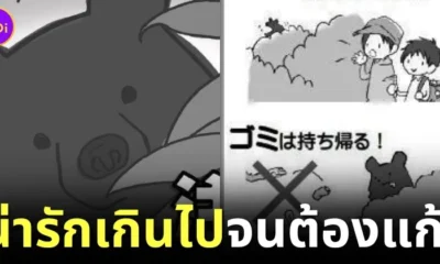 Japan redesign bear warning poster too cute