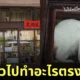 แมวเหมียวปีนหน้าต่าง หนีเมีย