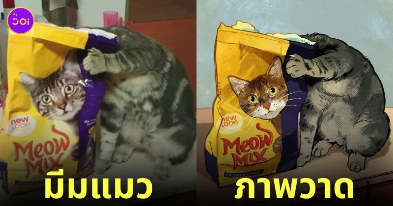 ภาพวาดมีมแมว catwheezie