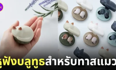 NEKO true wireless earphones หูฟังบลูทูธ ทาสแมว