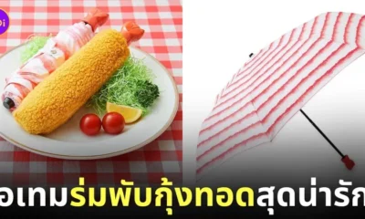 ร่มพับกุ้งทอด Felissimo