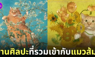 งานศิลปะคลาสสิก แมวส้ม fatcatart