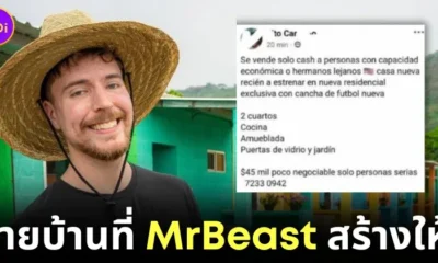 Sell Free House of MrBeast Columbia