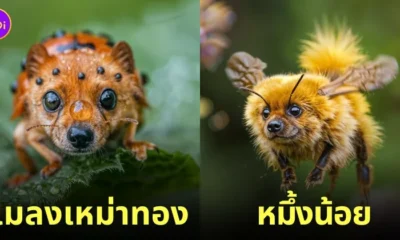 ภาพหมาผสมแมลงตัวจิ๋ว aiart