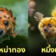 ภาพหมาผสมแมลงตัวจิ๋ว aiart