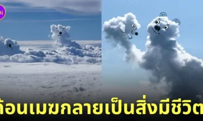 ภาพวาดก้อนเมฆน่ารัก adailycloud
