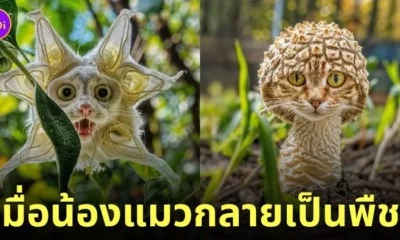ภาพแมวผสมพืชพันธุ์นานาชนิด aiart