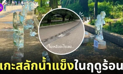 งานแข่งขันสร้างสรรค์ประติมากรรมน้ำแข็งแกะสลักในช่วงฤดูร้อนญี่ปุ่น