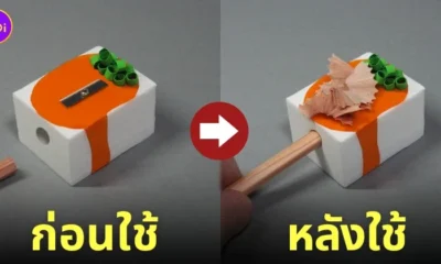 กบเหลาดินสอเต้าหู้เย็นญี่ปุ่น Hiyayakko