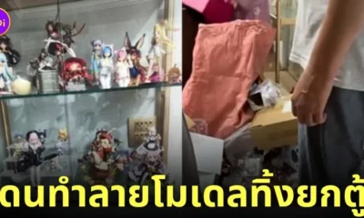 หนุ่มจีนถูกภรรยาและพ่อแม่ทุบโมเดลของสะสมทิ้งทั้งตู้