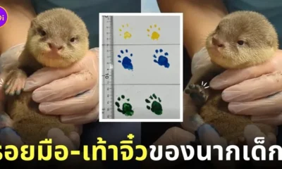 ปั๊มรอยมือ-เท้า นากเด็ก