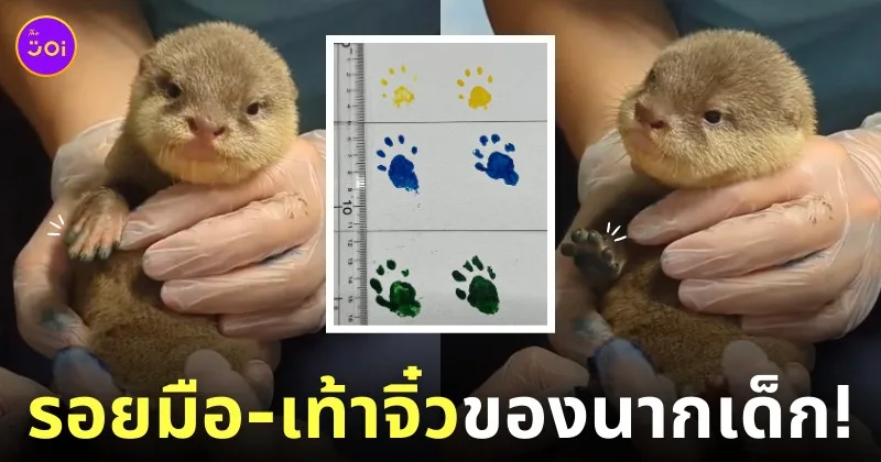 ปั๊มรอยมือ-เท้า นากเด็ก