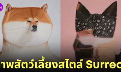 ภาพสัตว์เลี้ยงในรูปแบบ Surreal ศิลปิน Lola Dupre