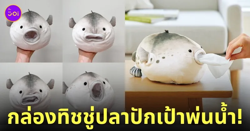 กล่องทิชชู่ปลาปักเป้าพ่นน้ำ
