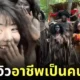สาวรีวิวอาชีพคนป่าในจีน