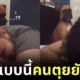 boxer dog wake his owner up
