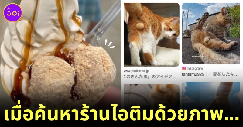japanese man found cat balls instead of ice cream