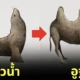 12 ภาพของสัตว์ชนิดต่าง ๆ เมื่อกลายร่างเป็นสัตว์อีกชนิดหนึ่ง ด้วยสรีระของตัวเองที่ดูแล้วชวนสยอง โดย "ทิม อันดราก้า (Tim Andraka)"