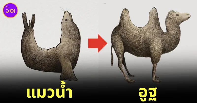 12 ภาพของสัตว์ชนิดต่าง ๆ เมื่อกลายร่างเป็นสัตว์อีกชนิดหนึ่ง ด้วยสรีระของตัวเองที่ดูแล้วชวนสยอง โดย "ทิม อันดราก้า (Tim Andraka)"