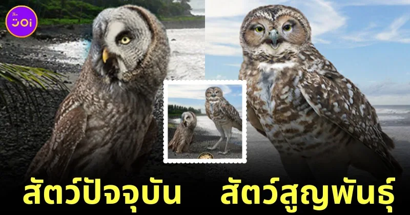 20 current species vs extinct species bigger