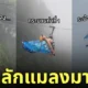 ชิโนบุ โหนสลิงซิปไลน์ ลาว