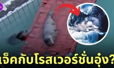 แมวน้ำอุ๋ง เหมือนแจ็คกับโรส ไททานิค titanic