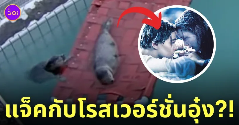แมวน้ำอุ๋ง เหมือนแจ็คกับโรส ไททานิค titanic
