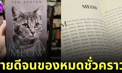 หนังสือนิยายแมว meow ซื้อที่ไหน