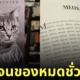 หนังสือนิยายแมว meow ซื้อที่ไหน