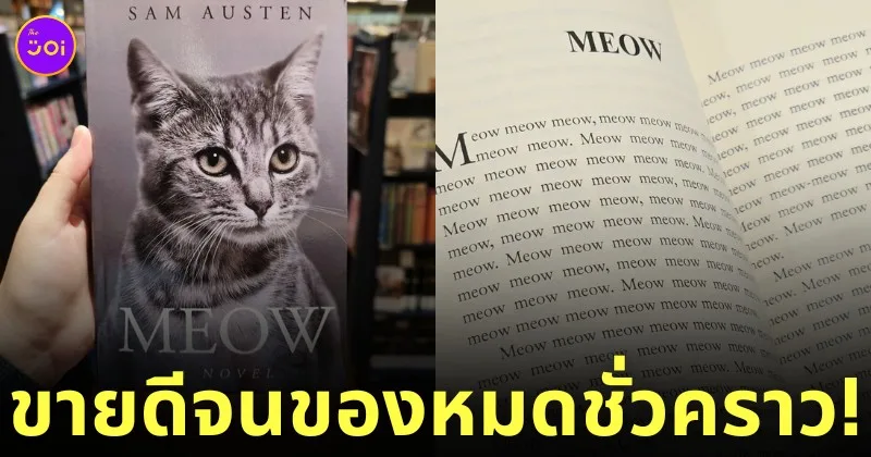 หนังสือนิยายแมว meow ซื้อที่ไหน