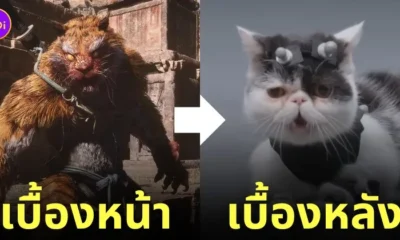 เกม black myth: wukong ใช้แมว ปีศาจเสือ
