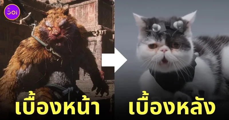 เกม black myth: wukong ใช้แมว ปีศาจเสือ