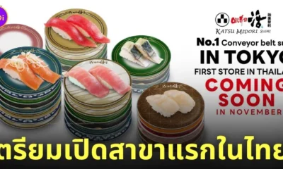 คัตสึ มิโดริ ซูชิ katsu midori sushi ซูชิสายพาน เปิดเจ้าแรกที่ไทย