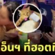 บ่าวโทนี่ แมวจรเด็กเอ็นฯ ร้านเหล้า
