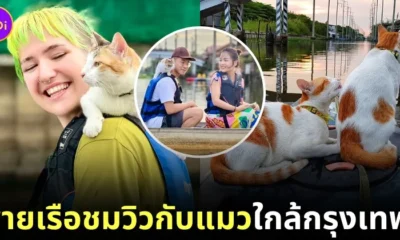 Maow Rim Khlong Guest House Thailand