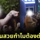 (มีคลิป) สาวจีนวีนสะบัด! ถูกจับได้ว่าแซงคิวซื้ออาหาร เจ้าตัวอ้าง "เป็นคนสวยทำไมต้องต่อคิว?"