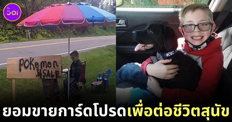 สุดซึ้ง! เด็กชายวัย 8 ขวบ พยายามทำทุกอย่าง แม้กระทั่งขายไพ่ "โปเกมอน (Pokemon)" สุดหวงแหน เพื่อหาเงินรักษาสุนัขที่รัก