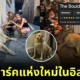 น้องหมาจร "เดอะ โบลเดอร์ (The Boulder)" กลายเป็นแลนด์มาร์คแห่งใหม่ของนครอิสตันบูล ระดับ 4.9 ดาว เพราะความน่ารักตุ้ยนุ้ยของน้อง!