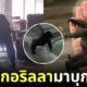 แม่ลูกอ่อนคิดว่าเจอกอริลลาในบ้าน
