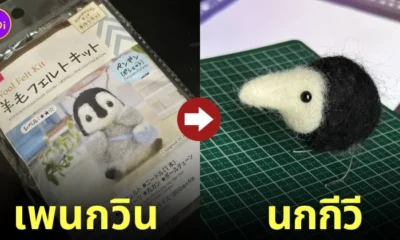 DIY ตุ๊กตาขนสักหลาด เพนกวิน นกกีวี