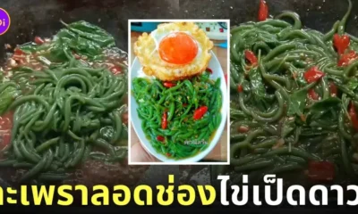 กะเพราลอดช่องไข่เป็ดดาว