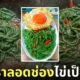 กะเพราลอดช่องไข่เป็ดดาว