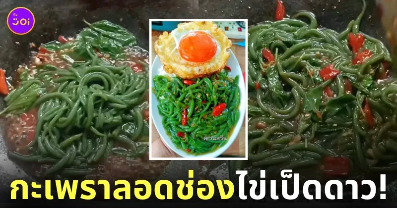 กะเพราลอดช่องไข่เป็ดดาว
