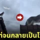 คลิปหมาไซบีเรียนยืนชมวิวบนหลังคาบ้านด้วยมาดสุดเท่ TikTok