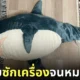 ชาวญี่ปุ่นซักตุ๊กตาฉลาม ikea ตัวอ้วน